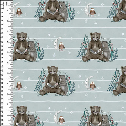 PREORDER Bear Bedtime Story Blanket