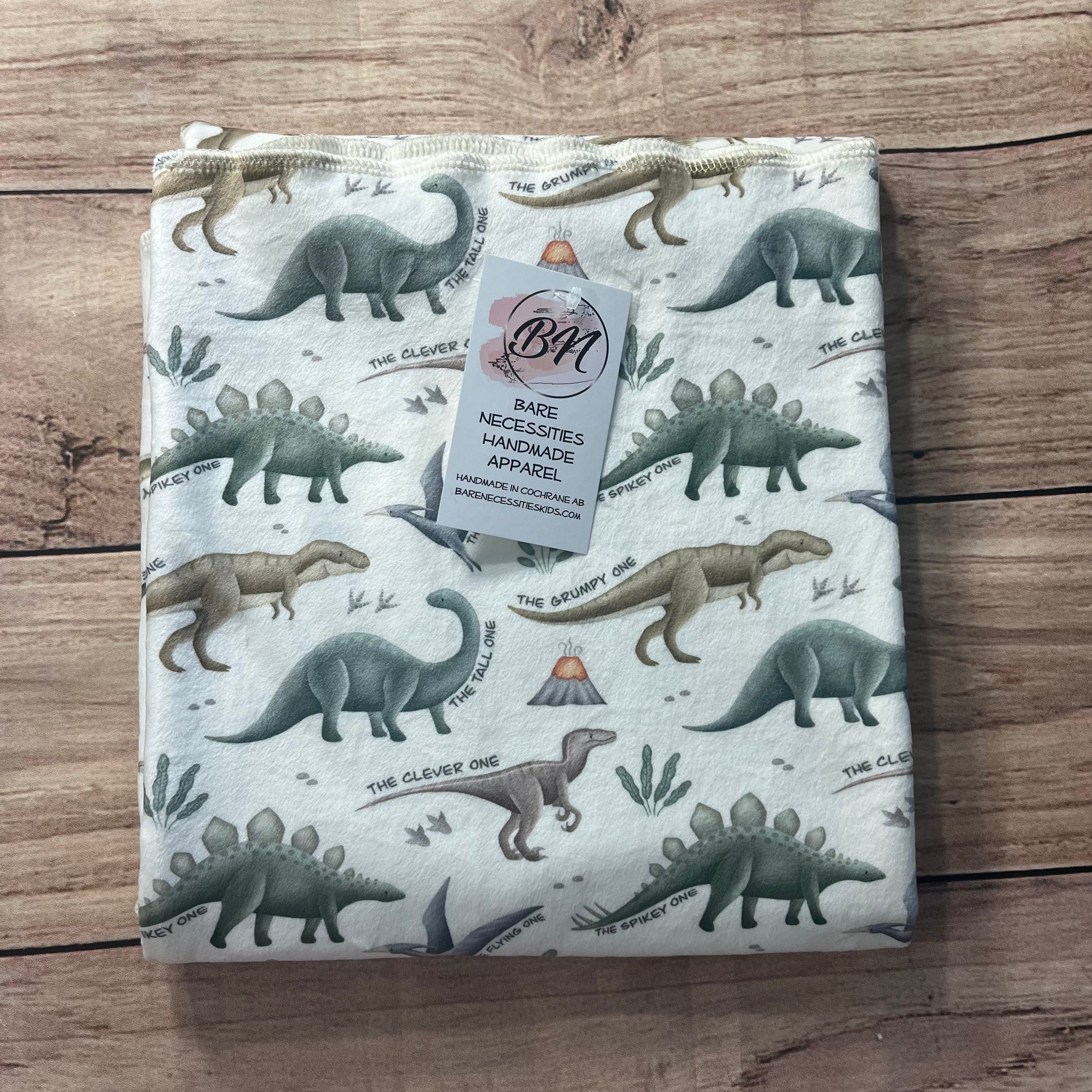 PREORDER Dinosaur Nicknames Toddler Blanket