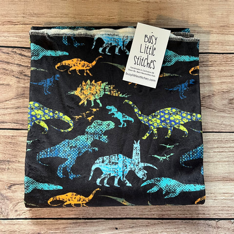 PREORDER Dinosaur Grunge Toddler Blanket