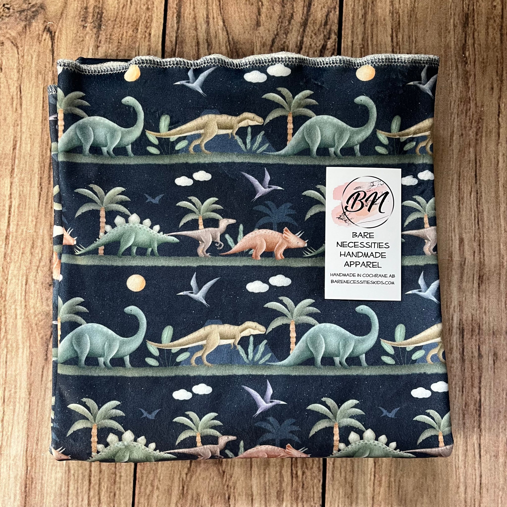 PREORDER Dinosaur Walk Night Blanket